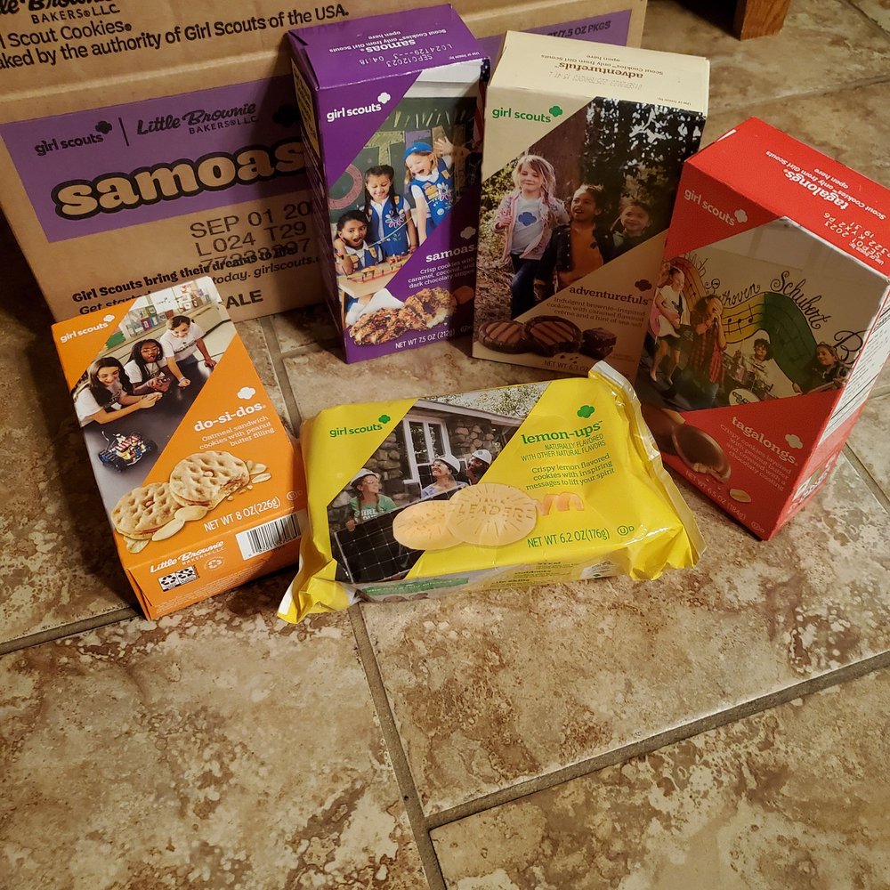 Girl Scouts - social services organization in Clinton Township, MI