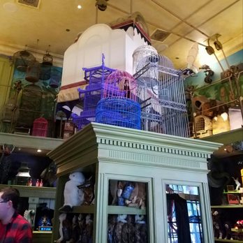 Magical Menagerie - Toy Stores Near Me - Orlando, Florida Magical Menagerie - Toy Stores Near Me - Orlando, Florida