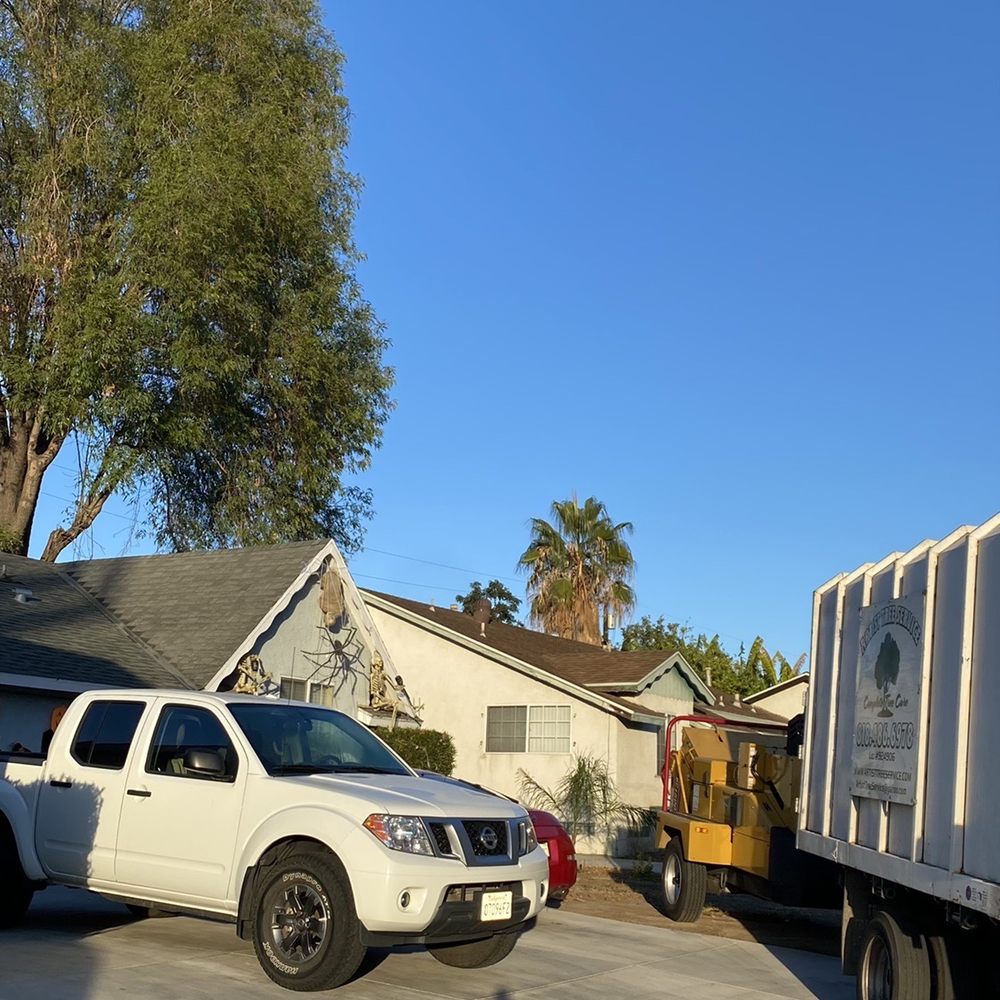 Artist Tree Service - Tree Services Near Me - Sylmar, California