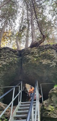 Elora Gorge Conservation Area by null