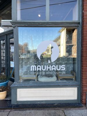 Mauhaus Cat Cafe by null