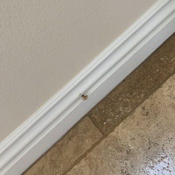 Clean Sweep LA - Carpet Cleaning Near Me - North Hollywood, California