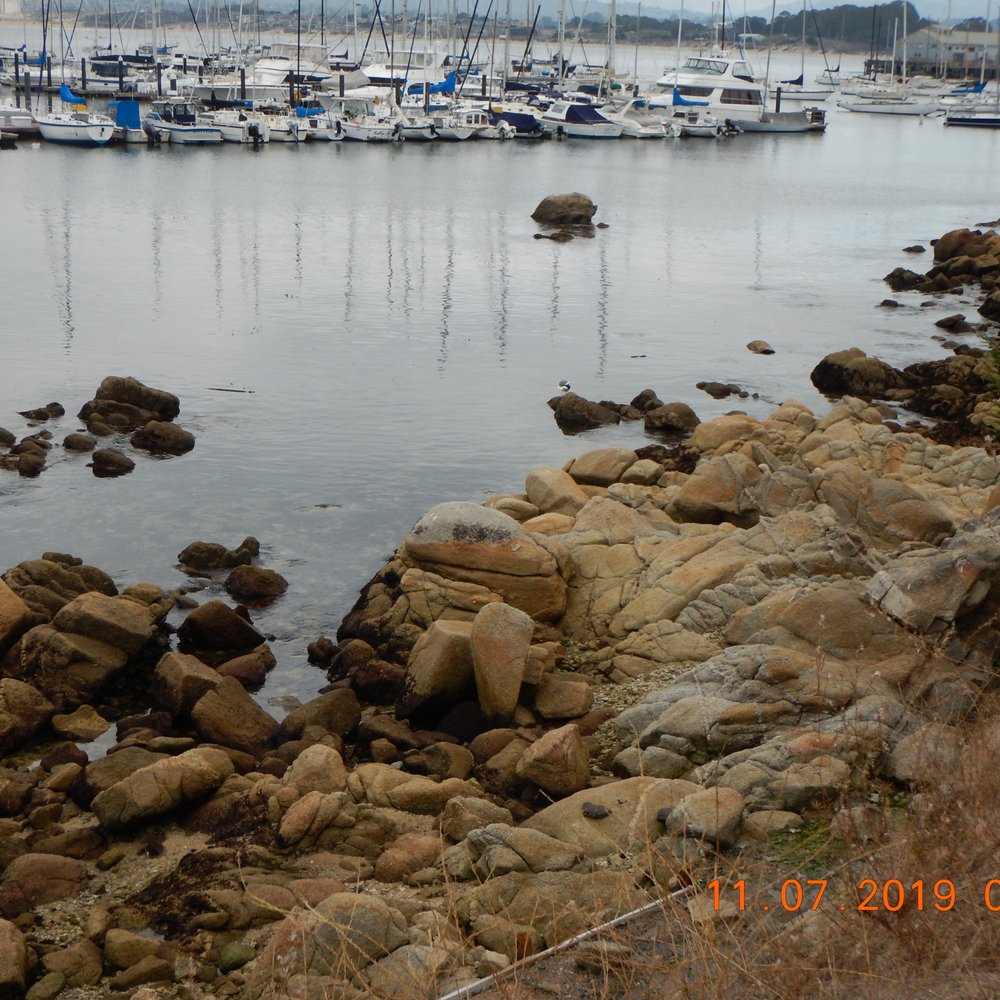 Breakwater Cove Marina - Boat Repair Near Me - Monterey, California