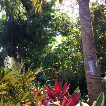 Bloedel Conservatory - Botanical Gardens Near Me - Vancouver, British Columbia