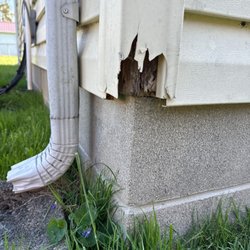 Webb Property Inspections