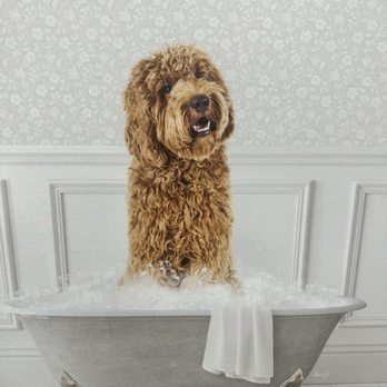 Home Goods - Home Decor Near Me - Town and Country, Missouri