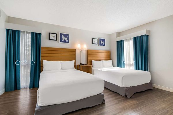 Sonesta ES Suites Orlando - International Drive by null