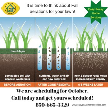 Easy Peasy Home Services - Time schedule fall aerations - Pest Control Near Me Easy Peasy Home Services - Time schedule fall aerations - Pest Control Near Me