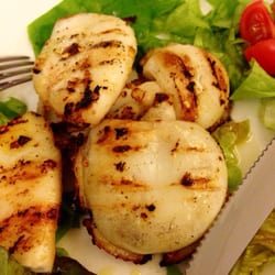 Firenze Nova - Grilled squid and octopus