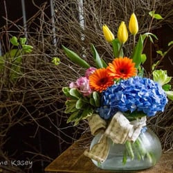 Franny's Flowers - Spring has arrived!