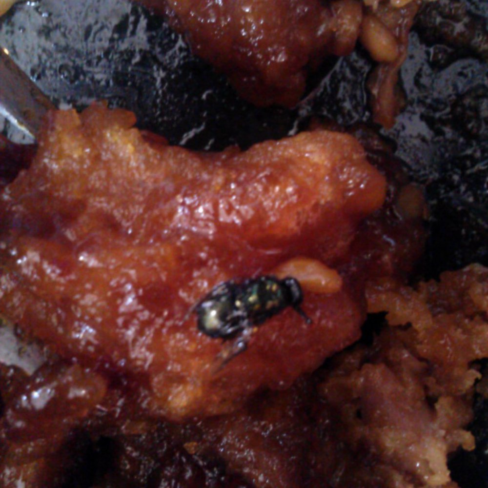 Mi Chong's - Unfortunately I found this too late... I ordered General Tso's Chicken, not Roasted Fly! - Chinese Near Me - Bethlehem, Pennsylvania Mi Chong's - Unfortunately I found this too late... I ordered General Tso's Chicken, not Roasted Fly! - Chinese Near Me - Bethlehem, Pennsylvania