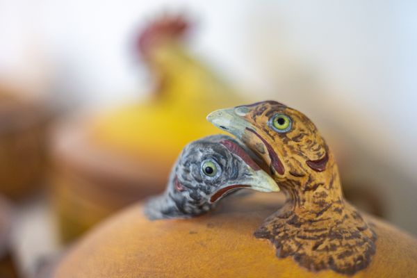 Chuck Williams Culinary Arts Museum by null