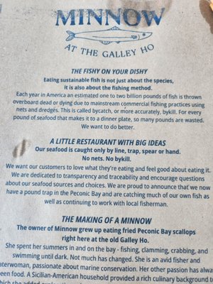 Minnow At The Galley Ho by null