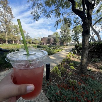 Norton Simon Museum - Outdoor garden with featured drink from cafe - Art Museums Near Me - Pasadena, California