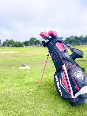 Bayonet & Black Horse by null