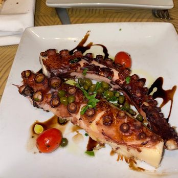Pylos - Octopus - Greek Near Me - New York, New York