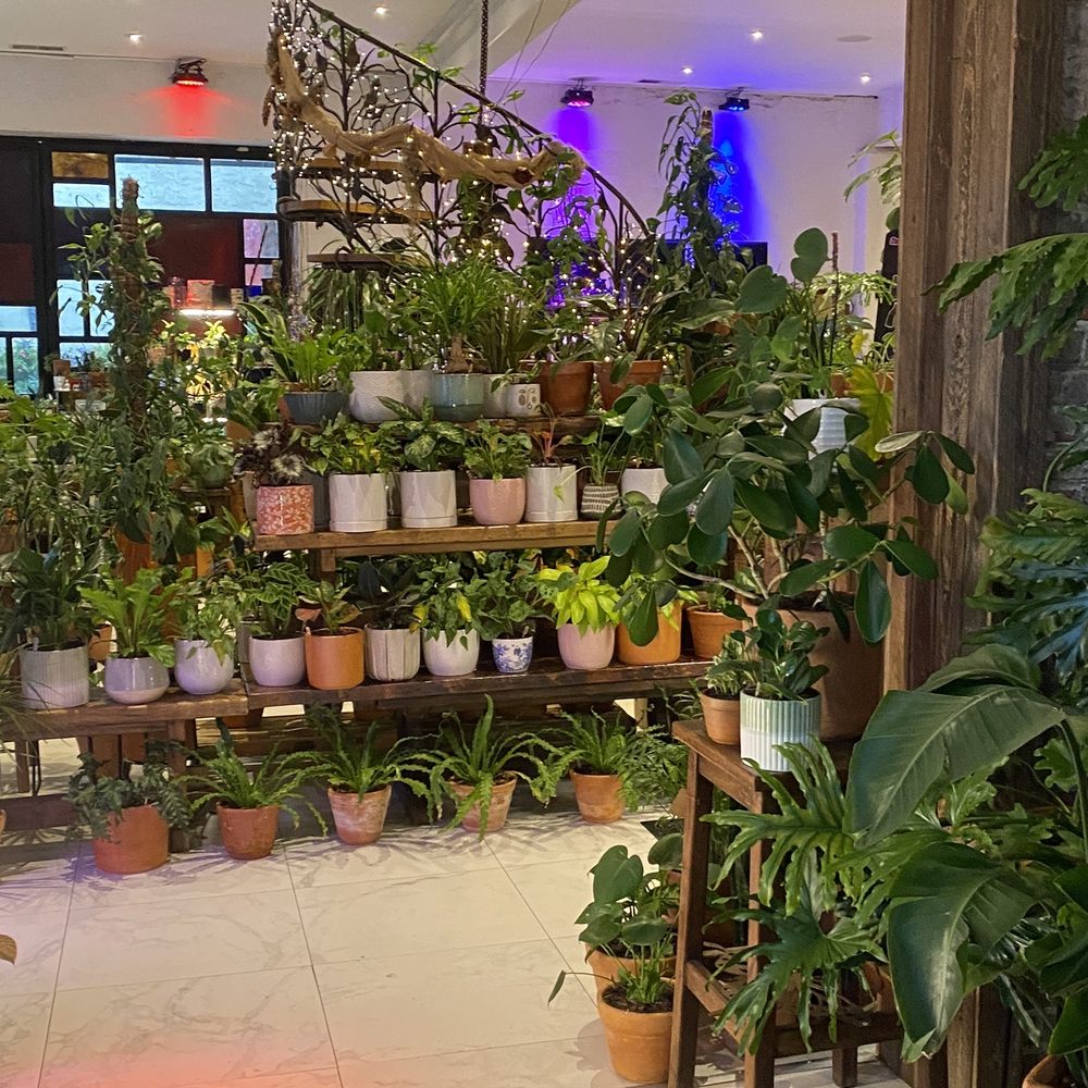 Plants Plants