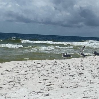 Henderson Beach State Park - Henderson Beach - Beaches Near Me - Destin, Florida Henderson Beach State Park - Henderson Beach - Beaches Near Me - Destin, Florida