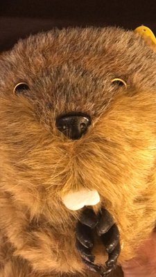 Murray Bros. Caddyshack by null