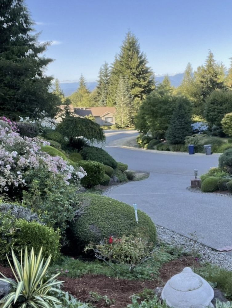 Angel AG Landscaping - tree service in Kent, WA
