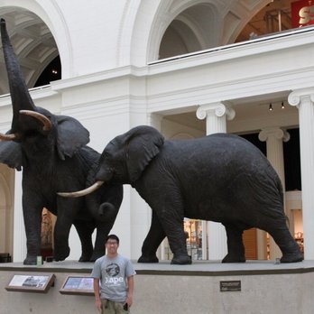 Field Museum - Museums Near Me - Chicago, Illinois