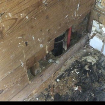 PuroClean - Damage Restoration Near Me - Houston, Texas PuroClean - Damage Restoration Near Me - Houston, Texas