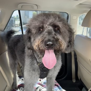 Happy Tails - Friday - Pet Groomers Near Me - Los Angeles, California