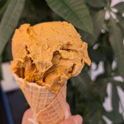 Heaven Creamery Boulder - Pumpkin spiced