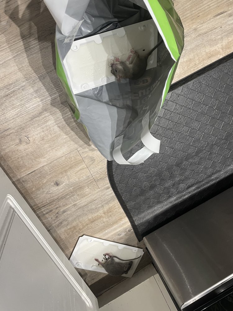 Reviews of THE BAXTER AT WESTWOOD Updated September 2024 20 Reviews