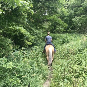 Millbrook Trail Rides - Horseback Riding Near Me - Newark, Illinois