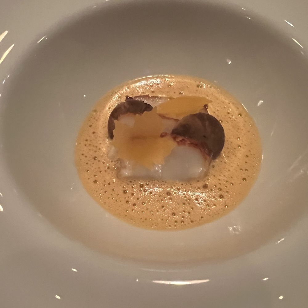 Atera - Scallop and lobster - New American Near Me - New York, New York
