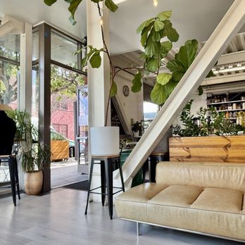 Robin's Cafe - Front room - Cafes Near Me - San Francisco, California Robin's Cafe - Front room - Cafes Near Me - San Francisco, California