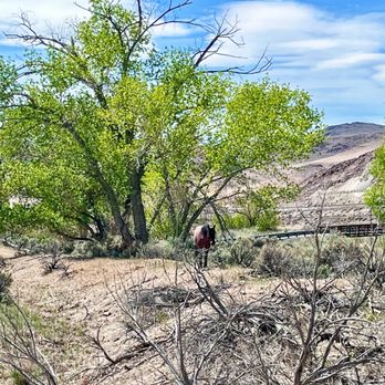 McCarran Ranch Preserve - Hiking Near Me - Sparks, Nevada