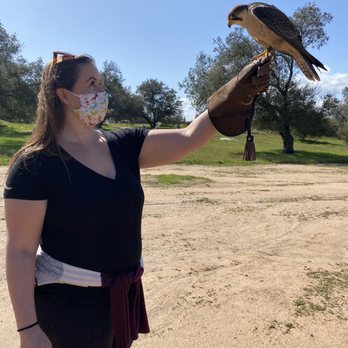 Sky Falconry - Specialty Schools Near Me - Alpine, California Sky Falconry - Specialty Schools Near Me - Alpine, California