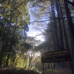 Entrance Entrance
