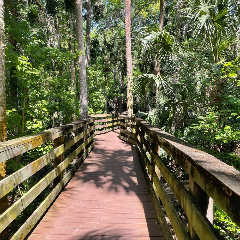 Black Bear Wilderness Area - Hiking Near Me - Sanford, Florida