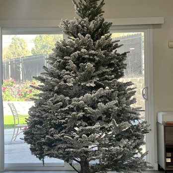 Nelson Christmas Trees - Photo of what I bought from them good work until I trim the bottom - Christmas Trees Near Me - Rialto, California