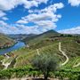 Photo of Portugal Premium Tours