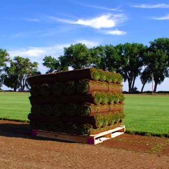 Graff's Turf - We offer sod in a number of varieties - Artificial Turf Near Me - Fort Morgan, Colorado Graff's Turf - We offer sod in a number of varieties - Artificial Turf Near Me - Fort Morgan, Colorado
