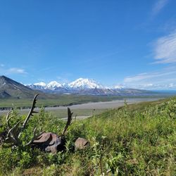 Denali Backcountry Adventure - Mt Denali at one of the stops