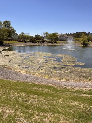 Solitude Lake Management