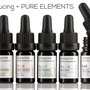 Photo of Anise Apothecary