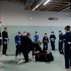 The Jiu-Jitsu Institute