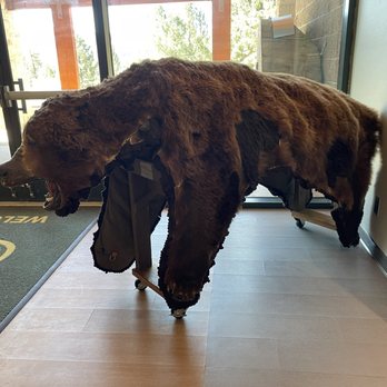 Big Bear Discovery Center - Hiking Near Me - Fawnskin, California Big Bear Discovery Center - Hiking Near Me - Fawnskin, California