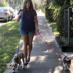 Care 4 Pets - Walking dogs in Gulfport, Fl