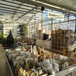 Zanker Gartencenter - 3.1.26