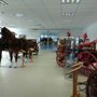 Photo of Mecklenburgisches Kutschenmuseum