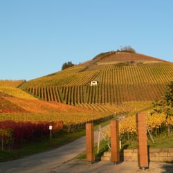 Scheuerberg