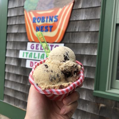 Robin's Nest by null