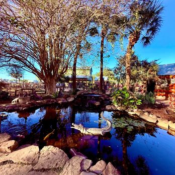 Enchanted Gardens - Nurseries & Gardening Near Me - Richmond, Texas